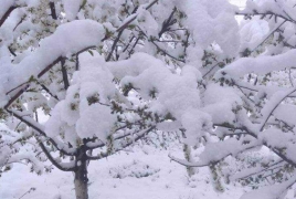 Գեղարքունիքում, Վայոց ձորում և Սյունիքում ձյուն է եկել․ Առանձին  բնակավայրերում ձյան ծածկը հասել է 15-20սմ