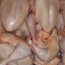 «Հետք»․  Տեղական հավի մսում սալմոնելա և մանրէներ են հայտնաբերվել