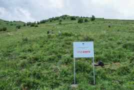 20,000 trees mulched in Lori with Viva-MTS support
