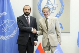 Глава МИД Армении и гендиректор МАГАТЭ обсудили двустороннее сотрудничество