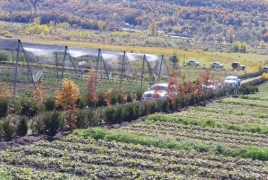 «Կանաչ» մտածողությունը՝ կենսակերպ