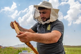 Բուժիչ մեղր՝ Սպիտակ մելիլոտուսից. Նոր մշակույթ՝ հայկական մեղվապահության մեջ