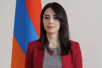 Переговоров по данному вопросу не было: МИД Армении - в ответ на публикацию The Times о нелегалах из Британии