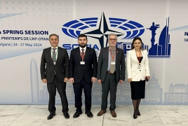Armenian delegation participating in NATO PA session