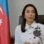 Բաքվում հայերի ջարդերի տարելիցի օրերին Ադրբեջանի օմբուդսմենը կոչ է անում միջազգային կառույցներին դատապարտել «ադրբեջանցիների արտաքսումը»