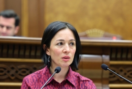 Անդրեասյան. Չունենք լեզվական քաղաքականության հայեցակարգ՝ լուրջ խնդիր է