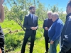 Государство увеличит поддержку пострадавшим от града фермерам