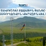 Team Telecom Armenia-ն Տավուշում ամբողջովին վերազինել է բջջային ցանցը