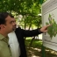 Ավանում կբարեկարգվի 12 բակային տարածք