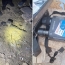 Merdzavan killing reported solved, suspects identified