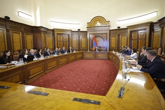 Government reviews green economy strategy draft