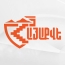 'HayaQve': unpleasant surprises may await authorities before elections
