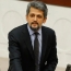Paylan says coming months crucial for Armenia-Turkey ties