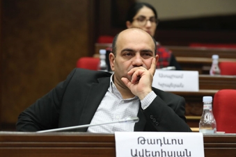 MP: Turkish tomatoes import threatens local producers