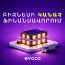 Evocabank-ը բիզնեսներին առաջարկում է կանաչ ֆինանսավորում՝ առանց գրավի
