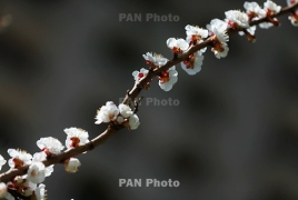 Առաջիկա օրերին 3-6 աստիճանով կտաքանա, սպասվում են տեղումներ