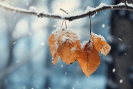 Սուրենյան․ Սպասվում է 3 հրաշալի գարնանային  օր, բայց ընդամենը 3