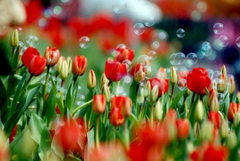 «Ռոսսելխոզնադզորը» կասկածներ ունի ՌԴ արտահանվող հայկական արտադրանքի ծագման վերաբերյալ