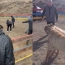 Սպիտակում շնամարտ կազմակերպելու դեպքով քրվարույթ է նախաձեռնվել