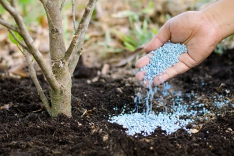 Government allocates 900 million drams for fertilizers