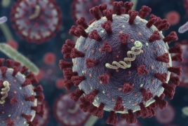 Armenia assesses hantavirus risk as low