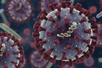Armenia assesses hantavirus risk as low