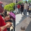 Against Everyone stages symbolic “kicking rats” protest