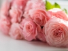 Armenia exports 5,500 roses to Latvia