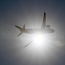 Gyumri-Moscow flight lands in Makhachkala