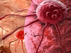 WHO warns cancer cases may surge