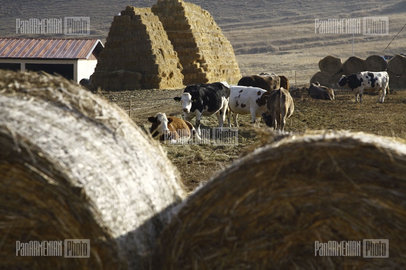 RA President Serzh Sargsyan visits a farm in Lori region