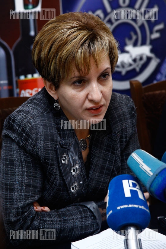 Press conference of the Head of Legal Division of the Constitutional Court Liana Hakobyan