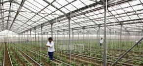 RA President Serzh Sargsyan visits newly opened greenhouse by 