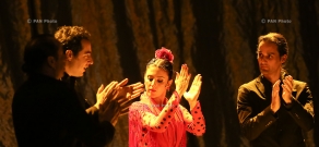 Flamenco night with Lori La Armenia