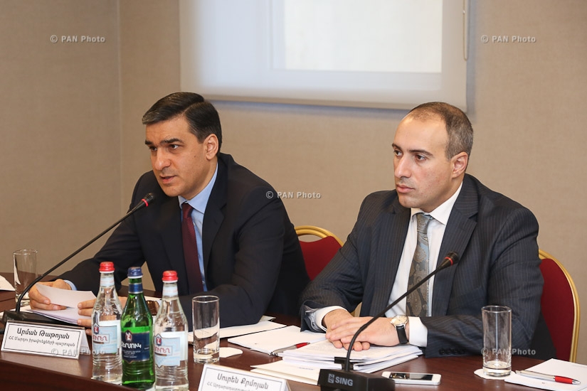 Пленарное заседание экспертного совета  по предупреждению пыток при омбудсмене Армении
