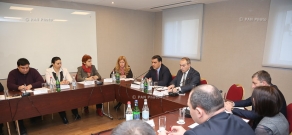 Plenary session of the Expert Council for the Prevention Torture under Armenia's Human Rights Defender