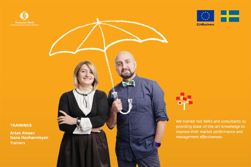 ՎԶԵԲ Խորհրդատվություն փոքր բիզնեսներին 2016 թվականի գործունեությունը EU4BUSINESS-ի շրջանակներում