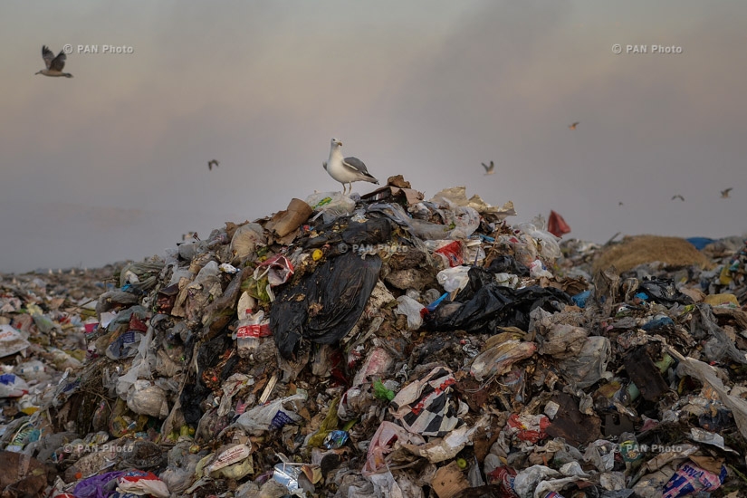 Nubarashen landfill: 52 lost hectares