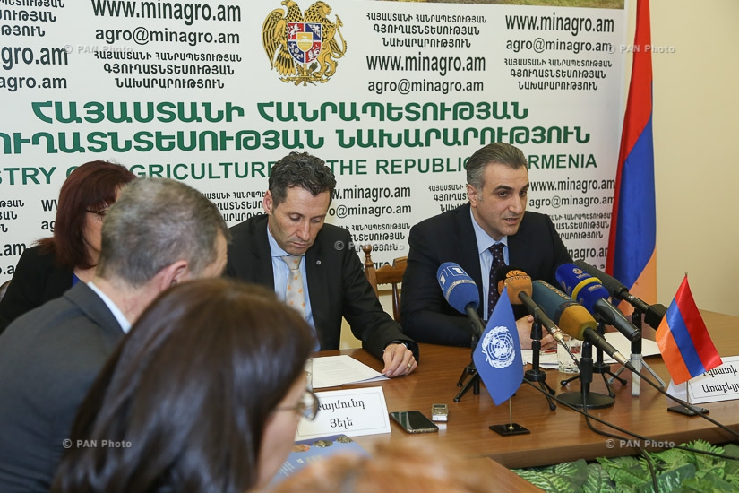 Пресс-конференция министра сельского хозяйства Армении Игнатия Аракеляна и представителя ФАО в Армении Раймунда Йеле 