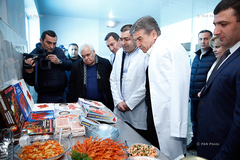 Премьер Армении Карен Карапетян с рабочим визитом посетил Гегаркуникскую область