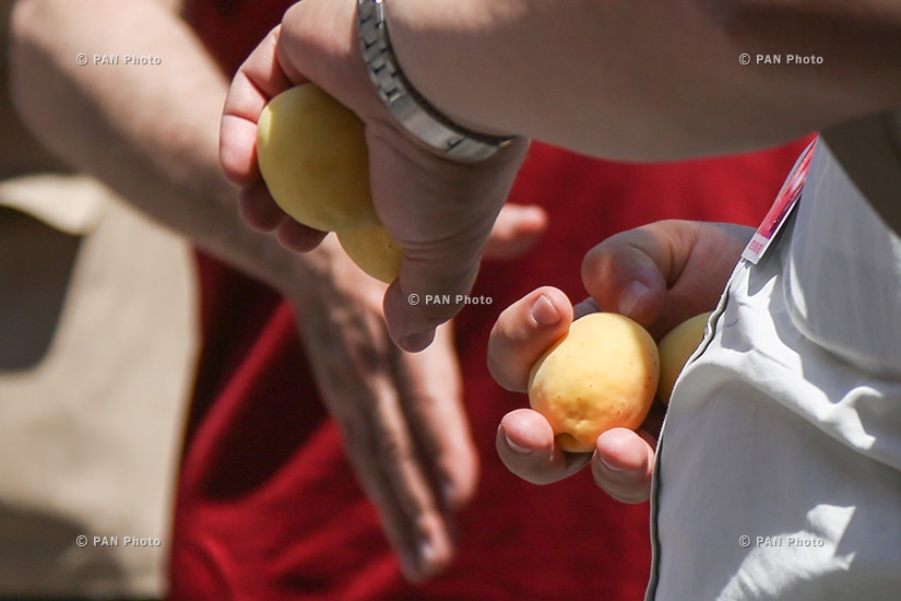 Blessing of apricots during Golden Apricot 14th film festival