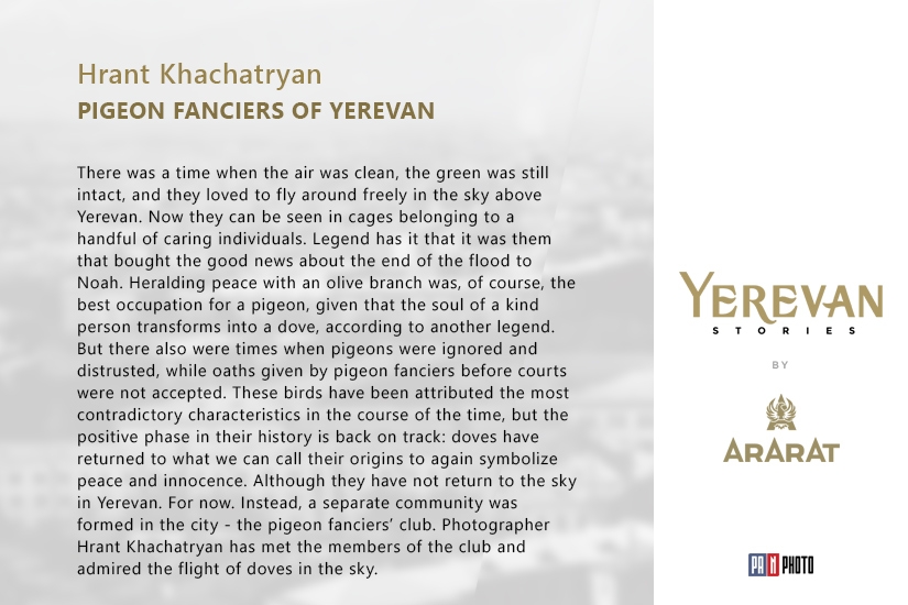 Yerevan Stories: Pigeon fanciers of Yerevan