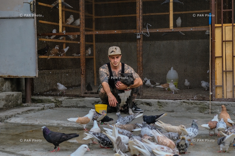 Yerevan Stories: Pigeon fanciers of Yerevan