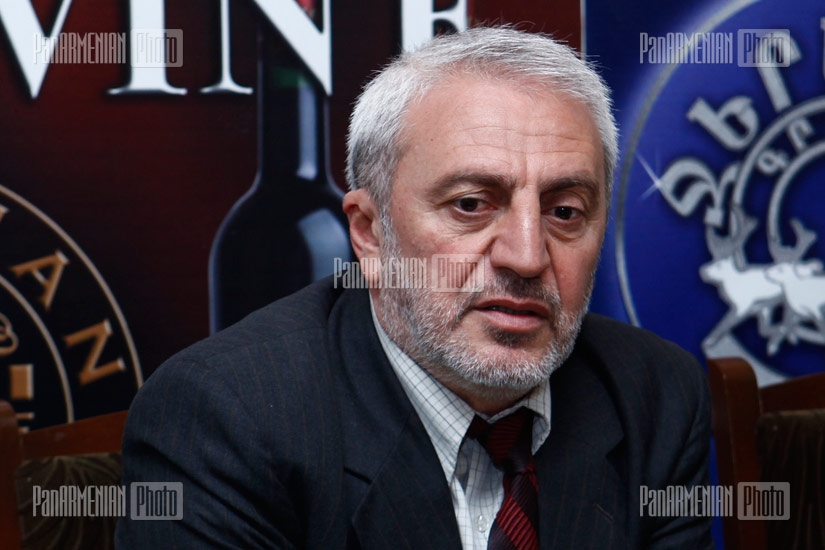 Press conference of ANC representative Aram Manukyan 