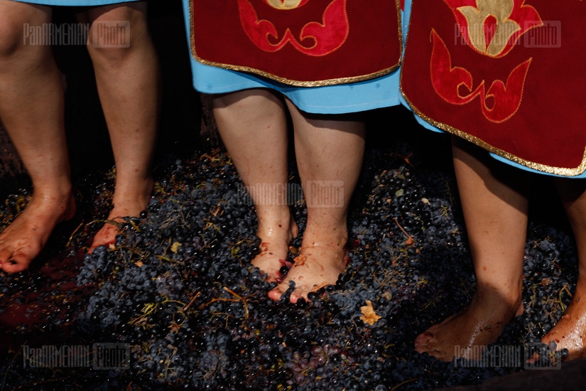 Фестиваль вина 2012 в Арени