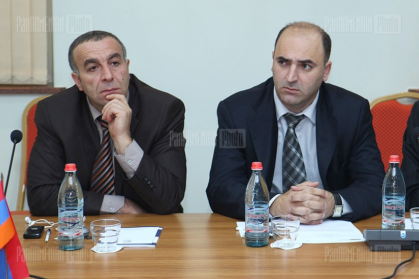 Discussion on problems and peculiarities of probation service establishment in Armenia