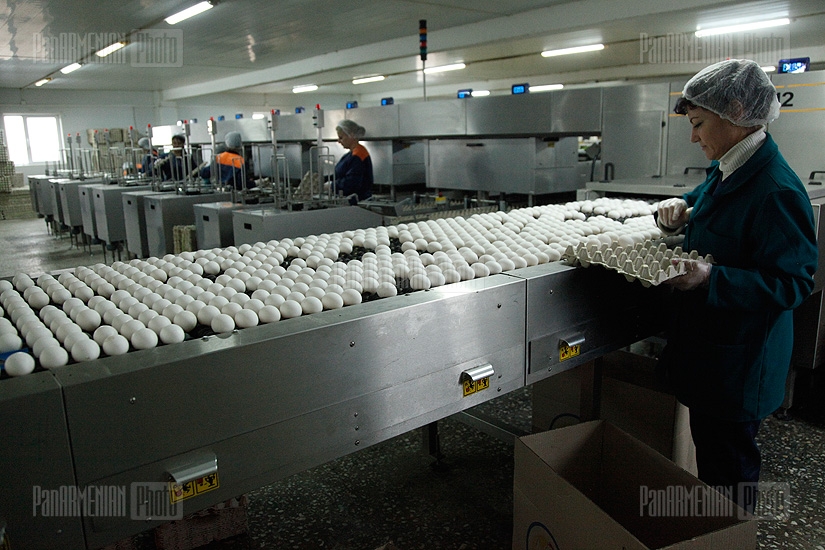 Armenian Consumers Association together with the representatives of news outlets pays a visit to a number of poultry factories in Armenia
