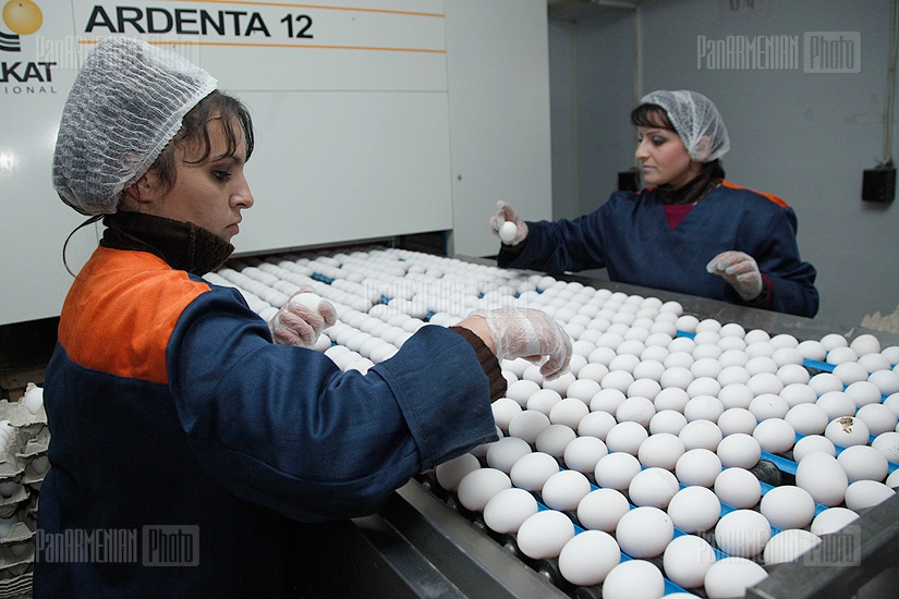 Armenian Consumers Association together with the representatives of news outlets pays a visit to a number of poultry factories in Armenia