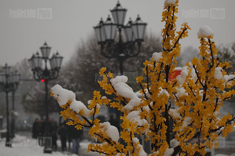 Երևանում ձյուն է
