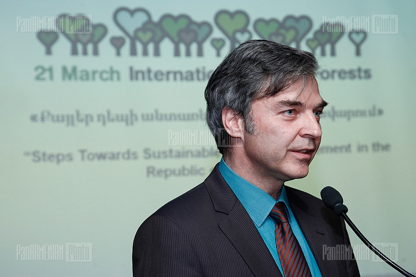Семинар на тему «Шаги к устойчивому управлению лесами»